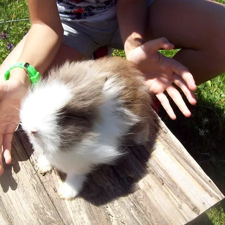 旅馆 Jufa St. Martin *