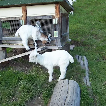 旅馆 Jufa St. Martin 圣马丁安提奈各布里奇