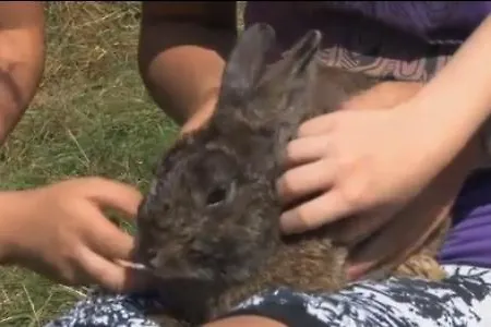 旅馆 Jufa St. Martin